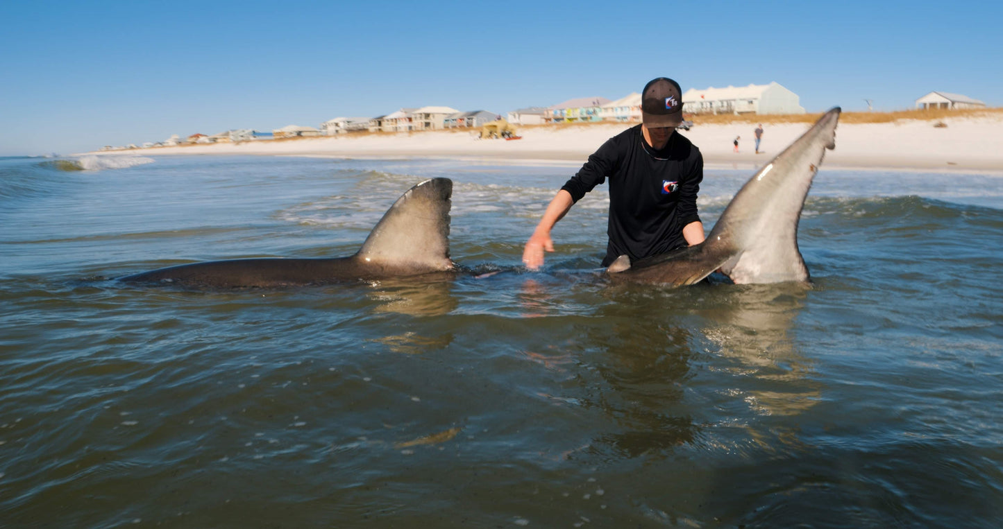 LBSF Shark Fishing Leader
