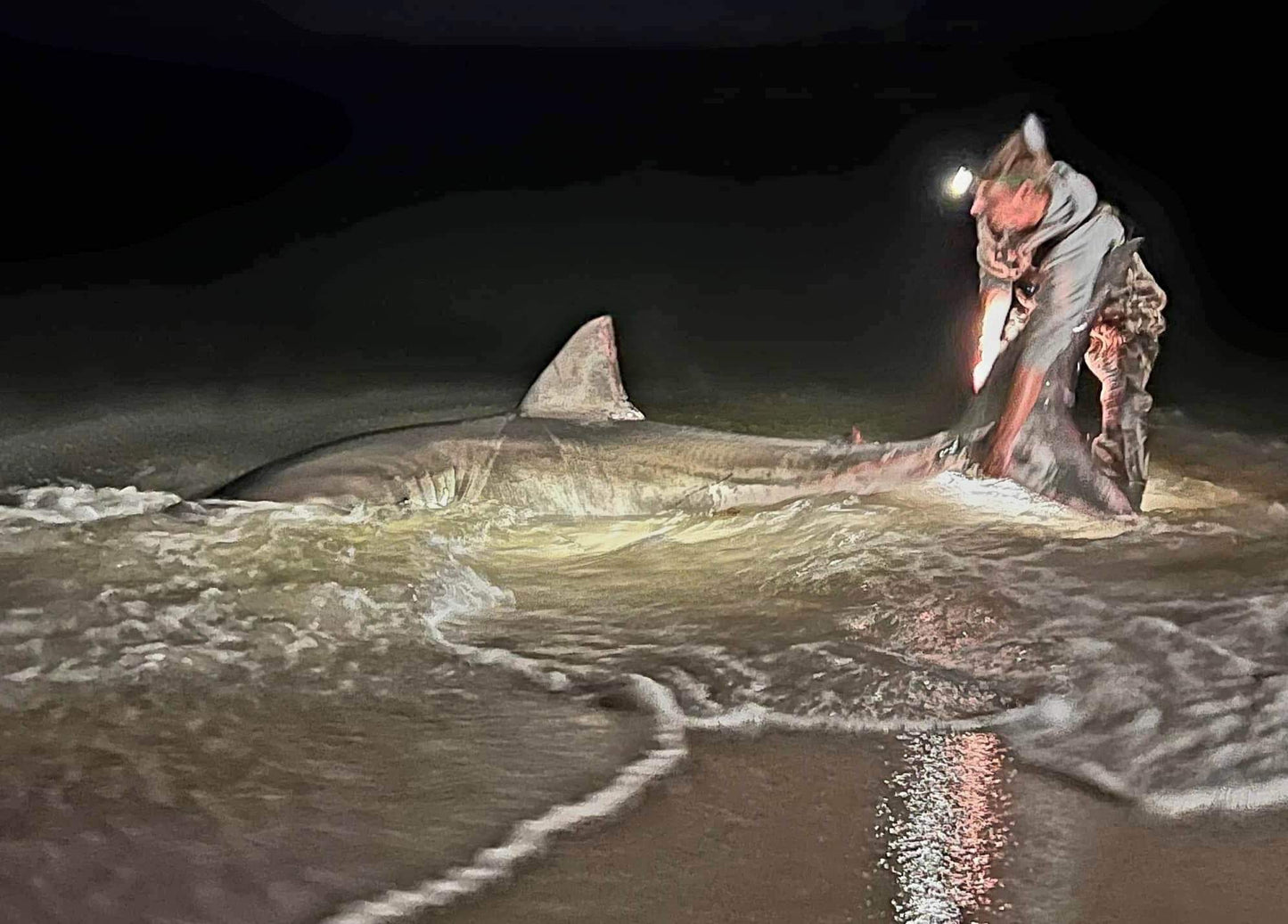 LBSF Shark Fishing Leader