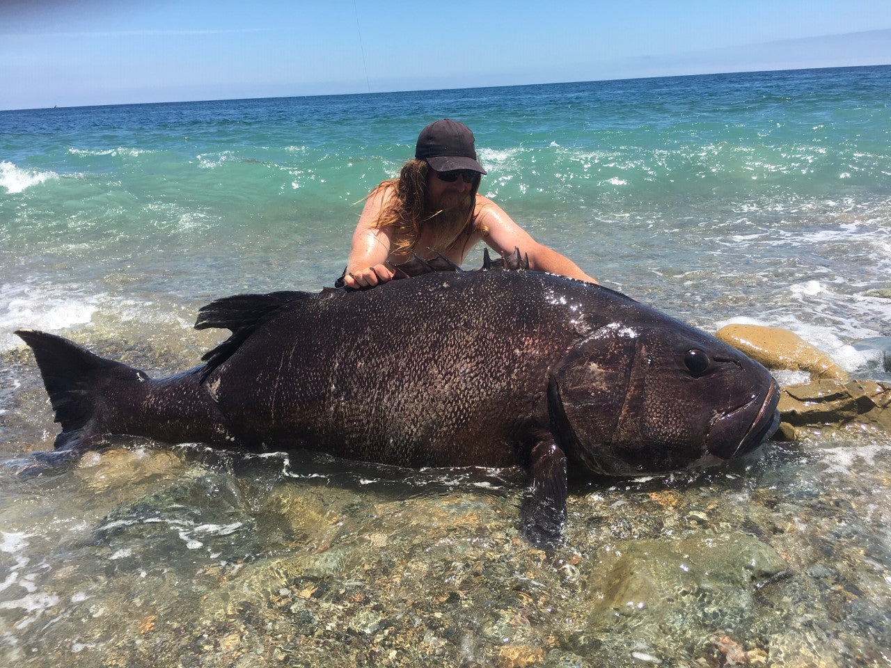 LBSF Shark Fishing Leader
