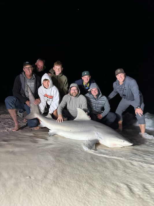 Shark Fishing Safety Tips: How to Safely Catch and Release Sharks from the Beach