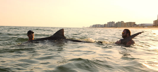 Two anglers working heavy shark rods on the beach at sunset during a Coastal Worldwide land-based trip in Pensacola