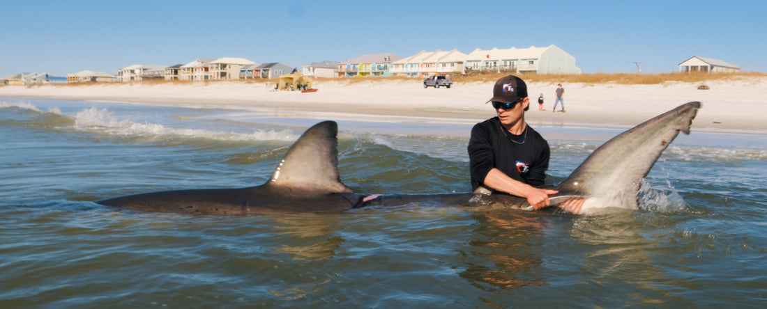 Angler holding a shark in the surf during a Coastal Worldwide land-based shark fishing trip on the Florida Panhandle
