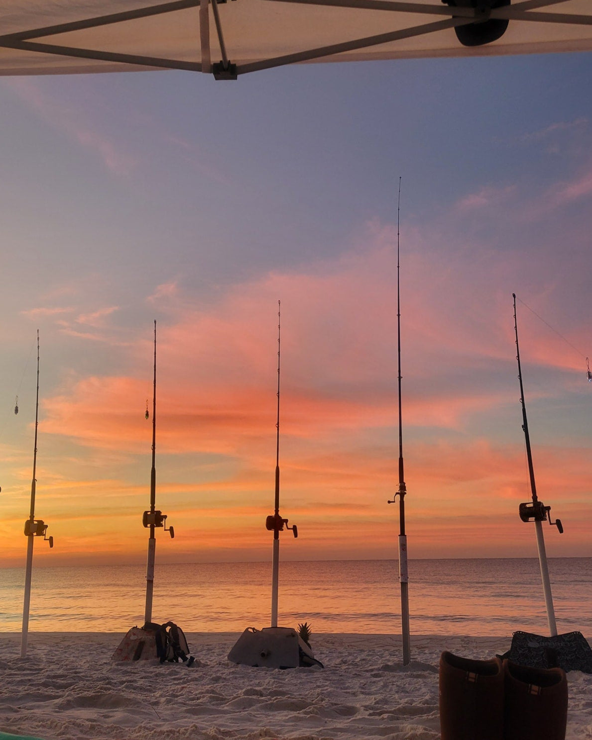 Coastal Worldwide shark rods set in sand spikes at sunset on a Gulf Coast beach before a land-based shark fishing trip