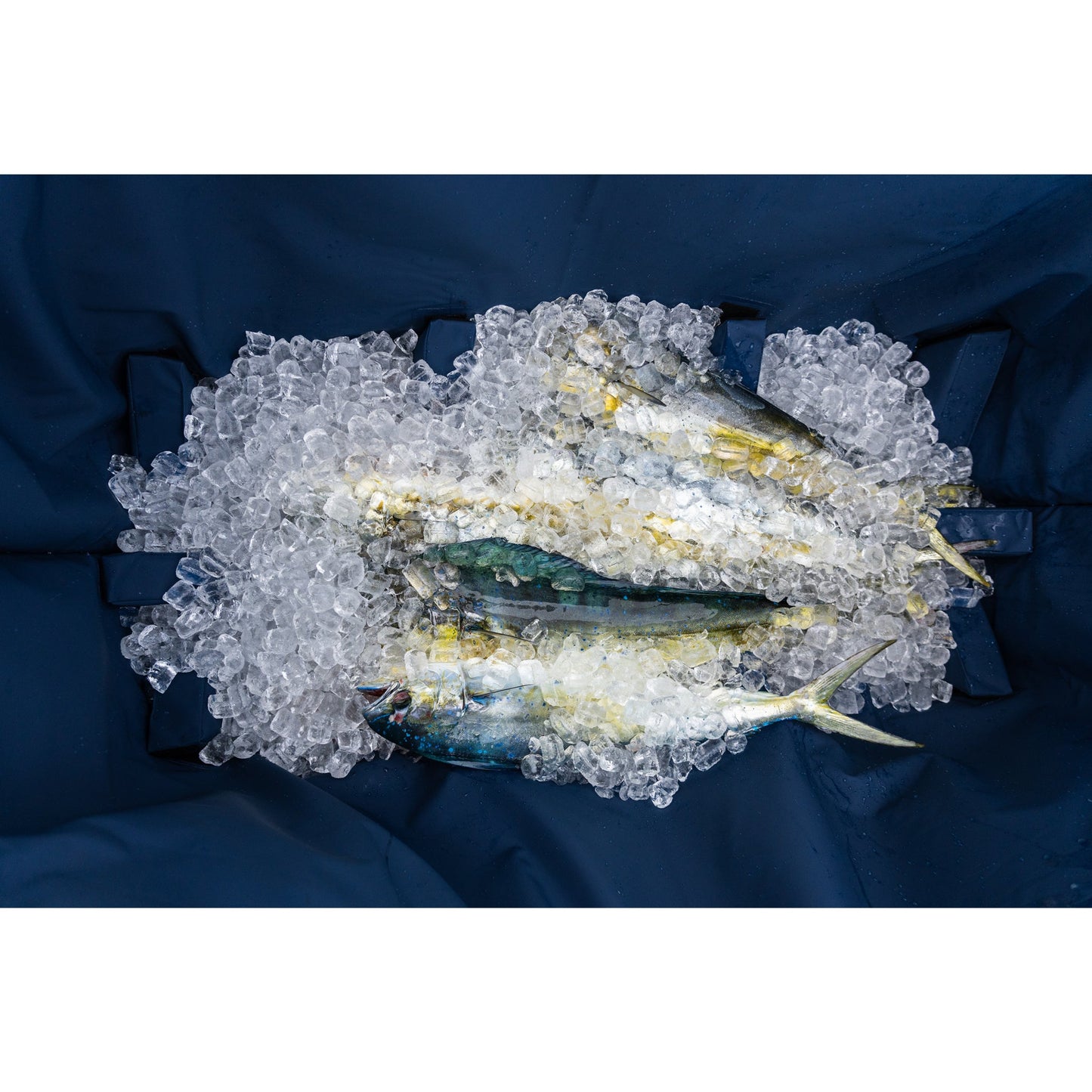 72" Offshore Pelagic Kill Bag