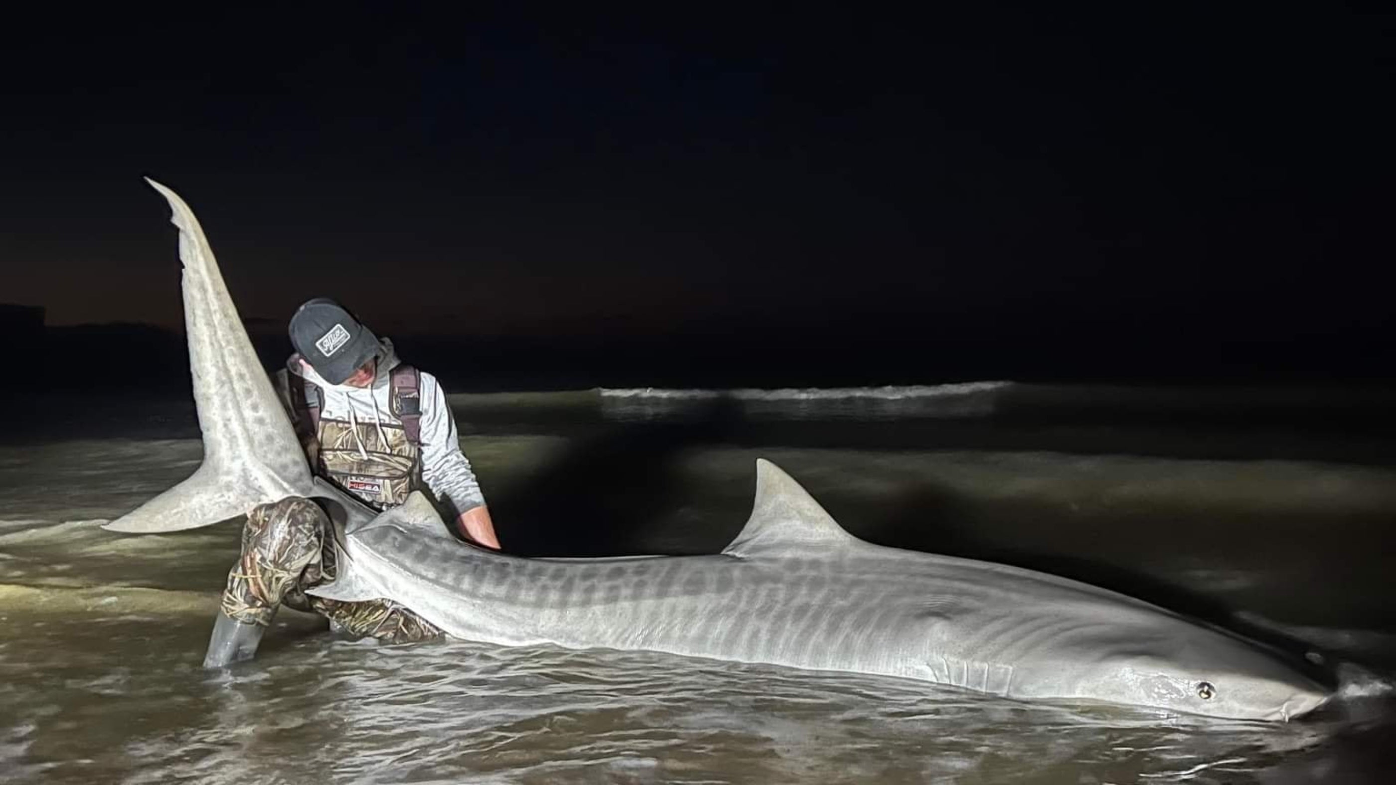 12 Hour Shark Fishing Expedition
