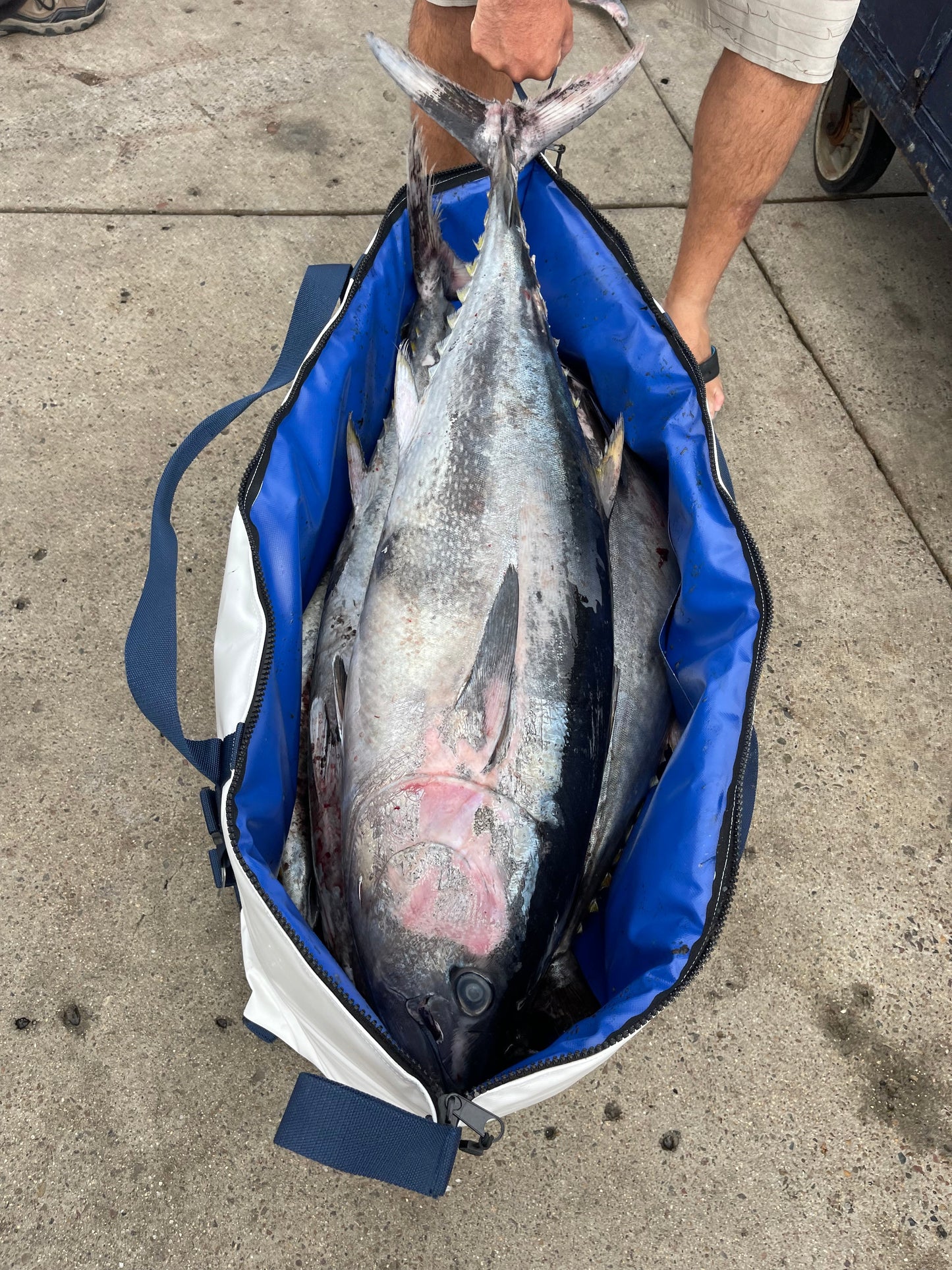 48" Multi-Species Insulated Fish Kill Bag